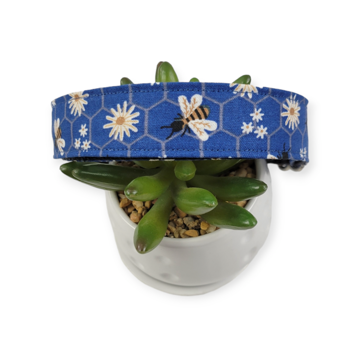 Daisies & Bees Dog Collar (Large)