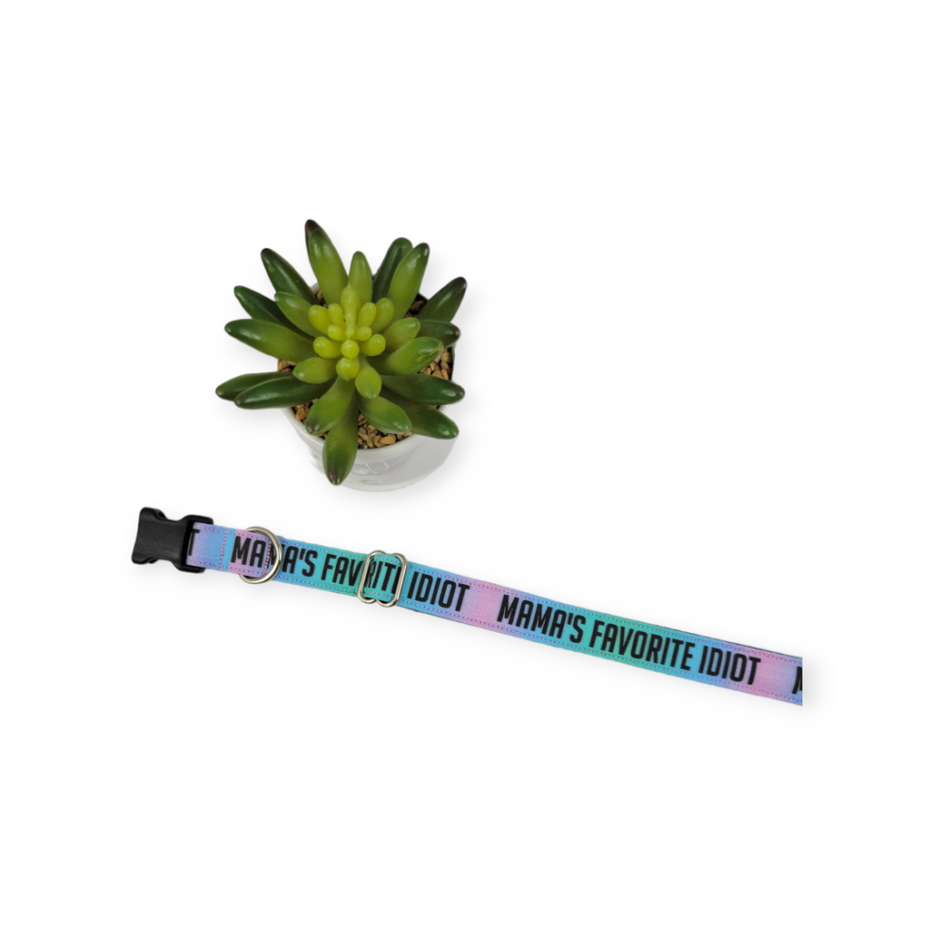 Mama's Favorite Idiot Dog Collar (Medium)