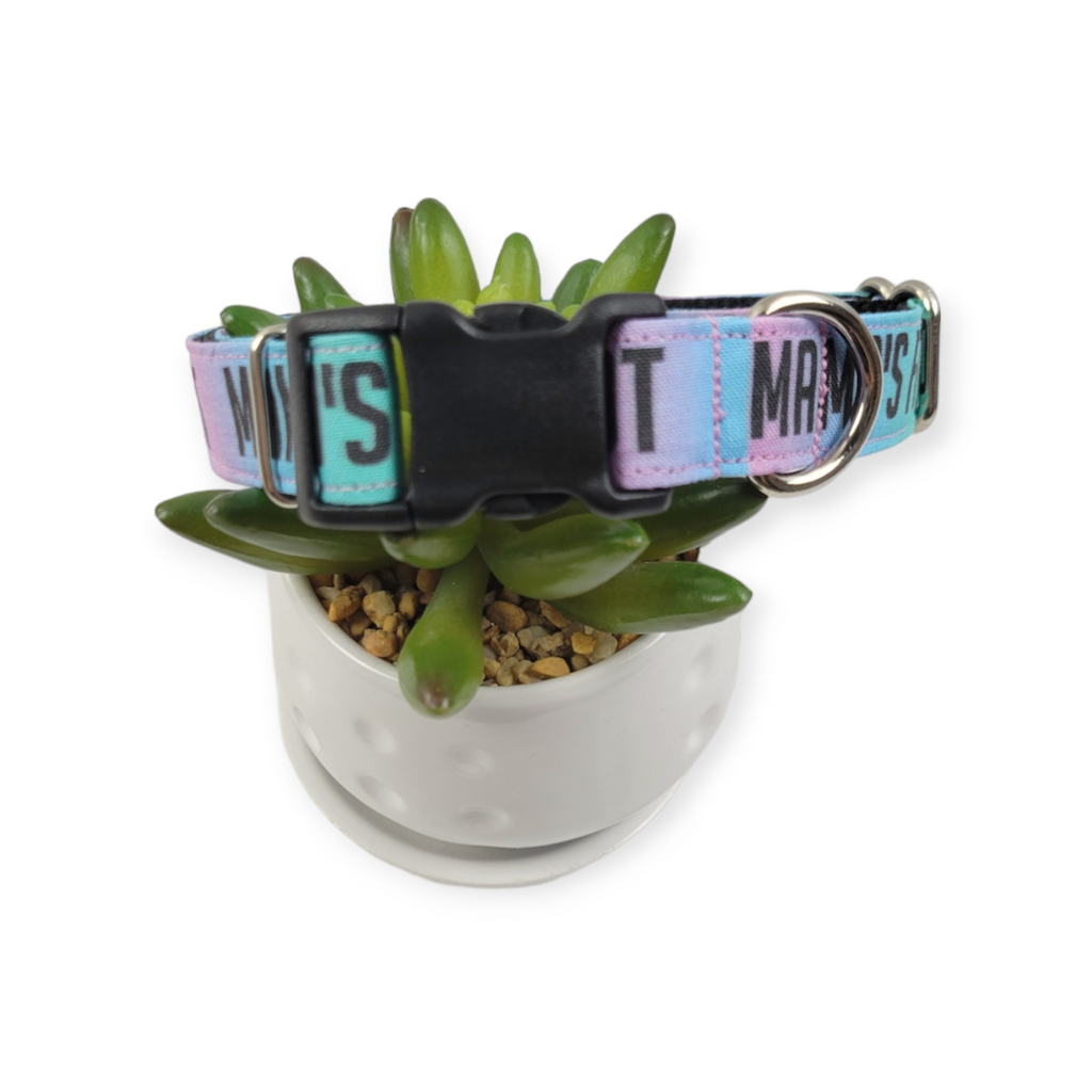Mama's Favorite Idiot Dog Collar (Medium)