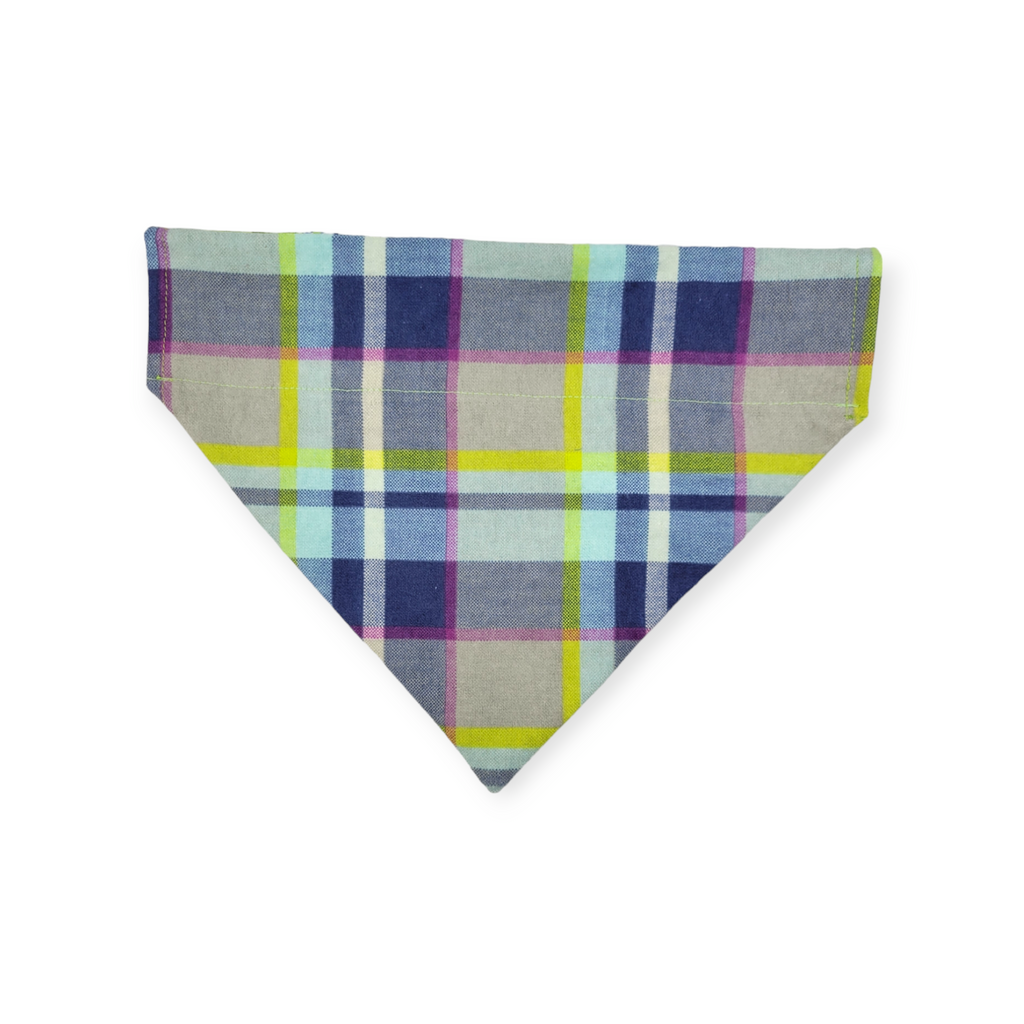 Wild Blossoms/ Artichoke Plaid Reversible Slide-on Bandana (Medium)