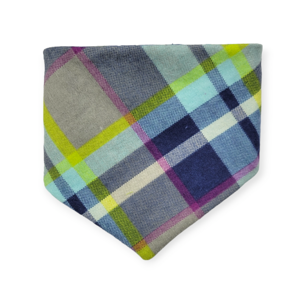 Wild Blossoms/ Artichoke Plaid Slip-on Scrunchie Bandana (X-Small)