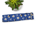 Daisies & Bees Dog Collar (Large, 1.5" wide)