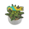 Sunflowers on Turquoise Dog collar (Small)