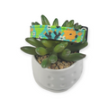 Wild Desert Dog collar (Small)