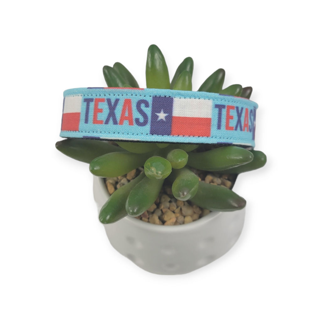 Texas Pride Dog Collar (Medium)