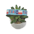 Texas Pride Dog Collar (Medium)