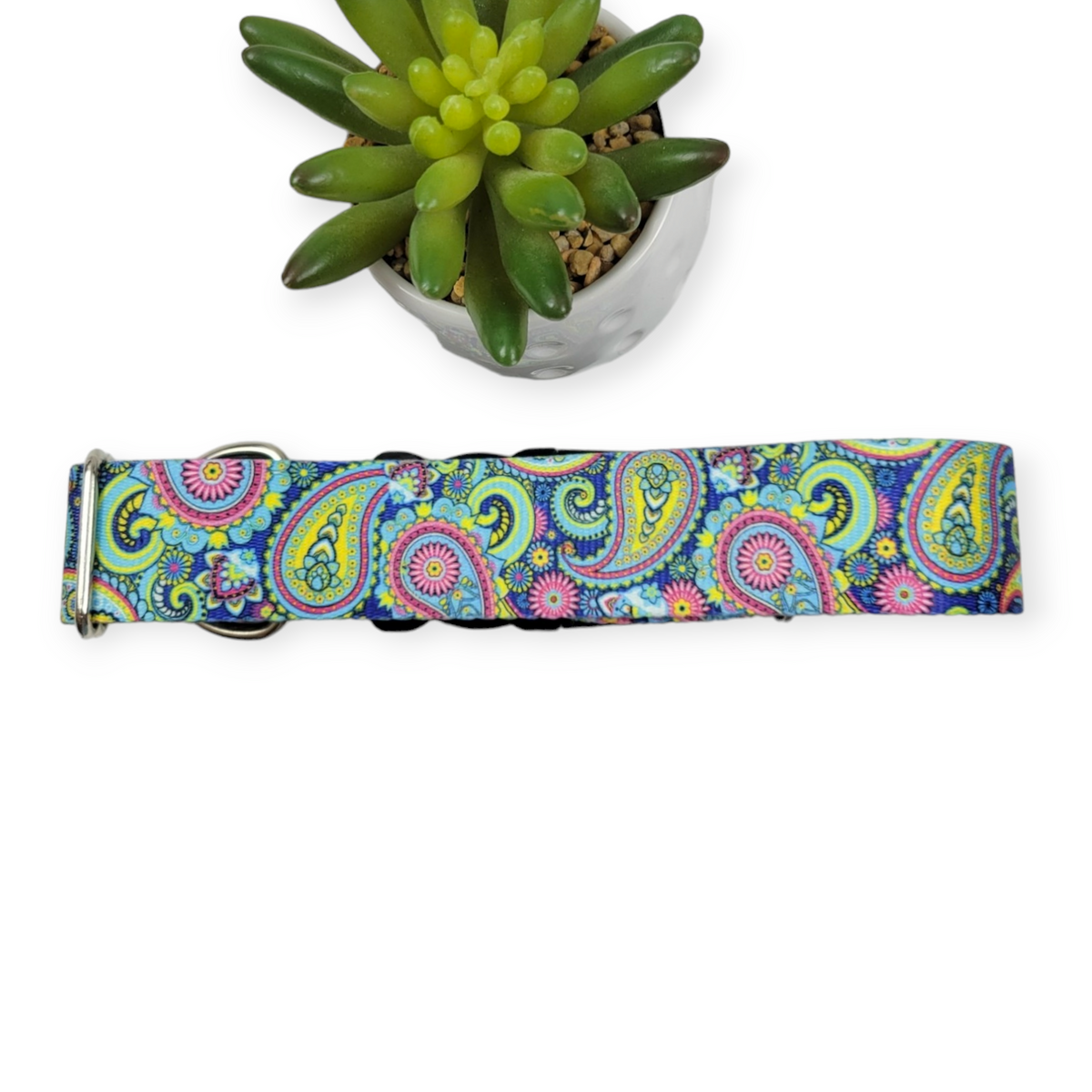Bright Paisley Dog Collar (X-Large, 1.5" wide)
