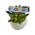 Mom Heart Tattoo Dog collar (Small)