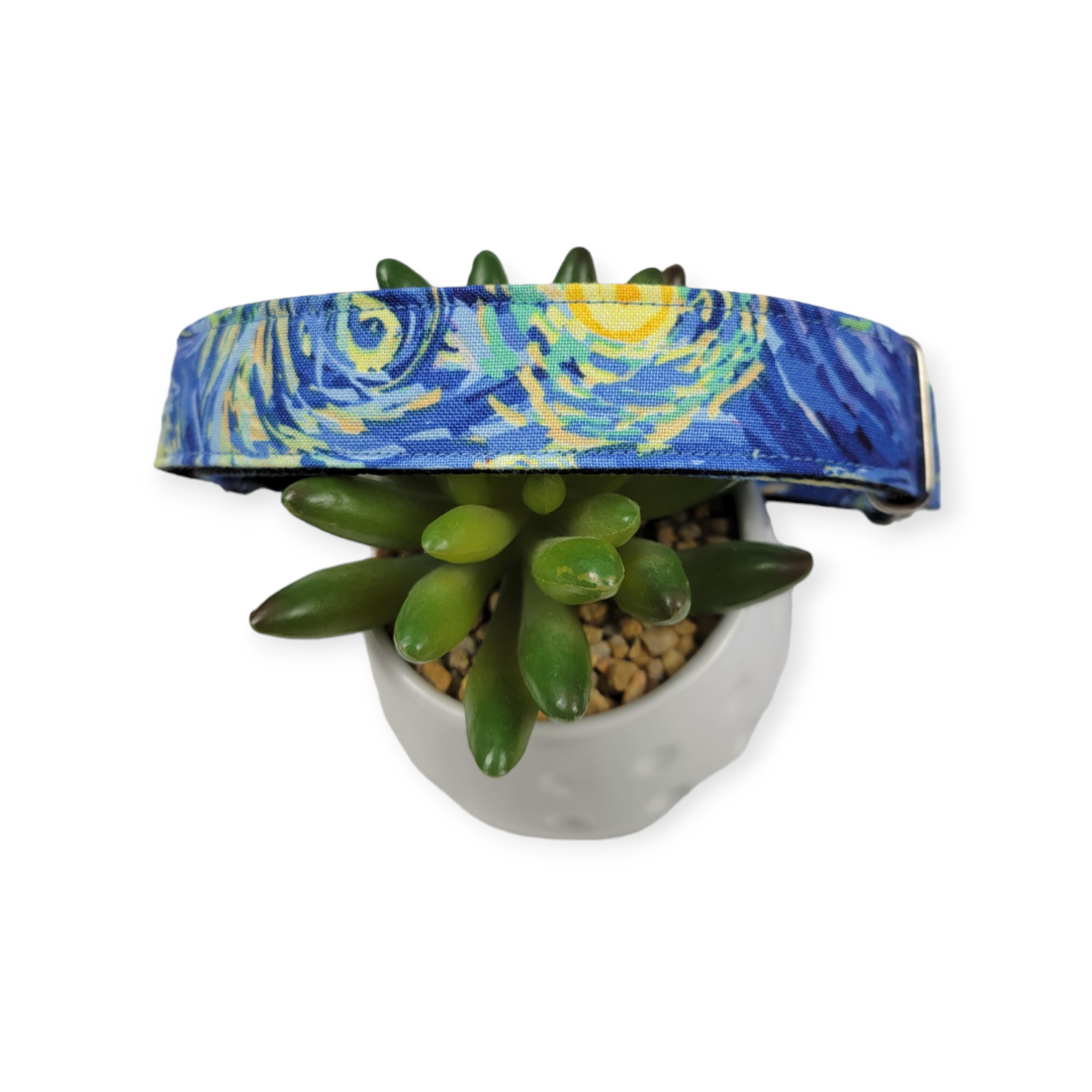 Starry Night Martingale Dog Collar (Large)