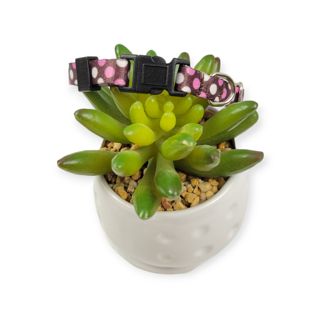 Polka Dots on Brown dog collar (XX-Small)