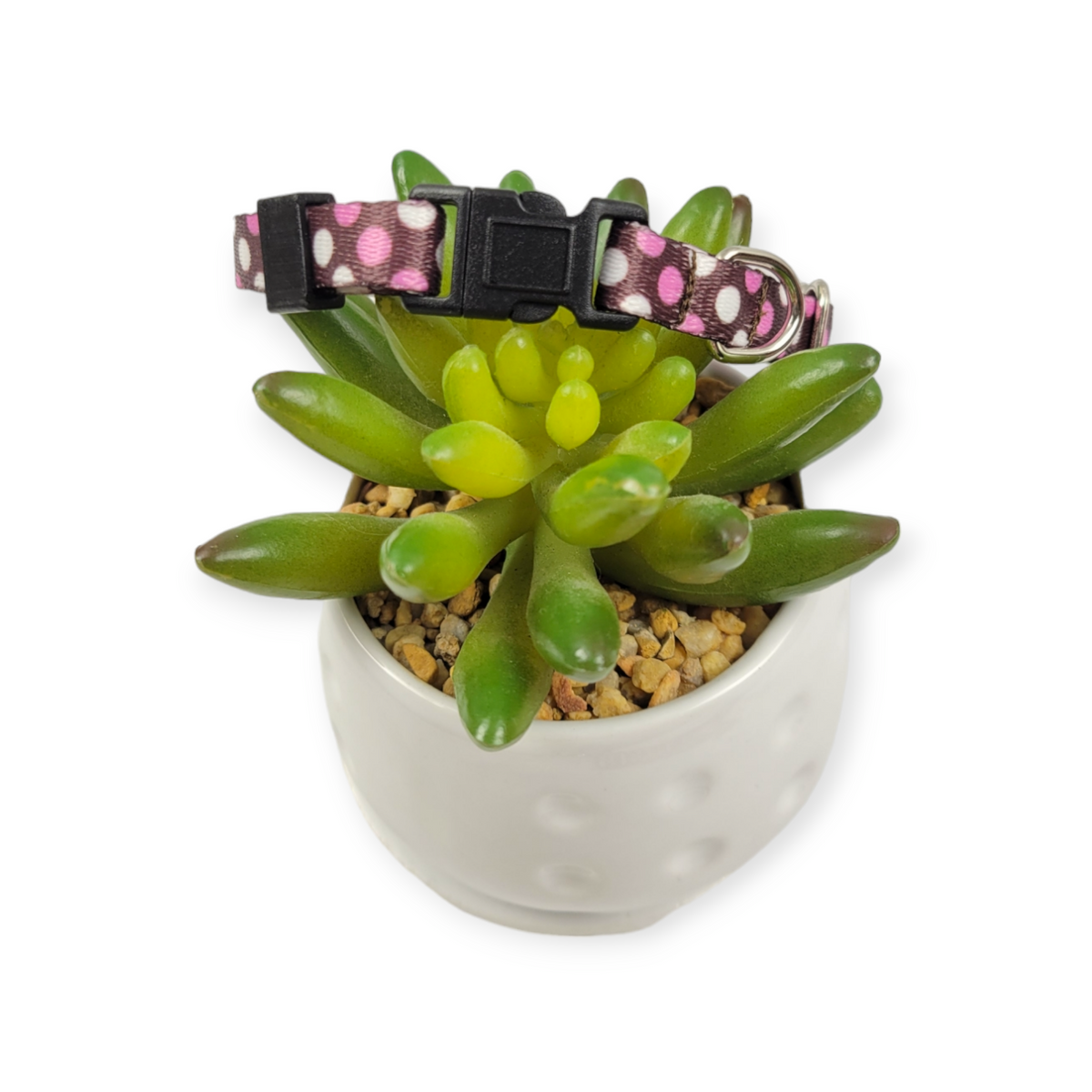 Polka Dots on Brown dog collar (XX-Small)