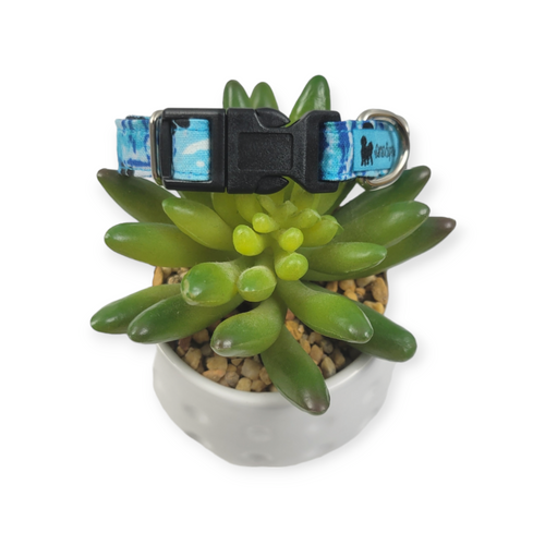 Blue Tie Dye Paws Dog collar (Small)