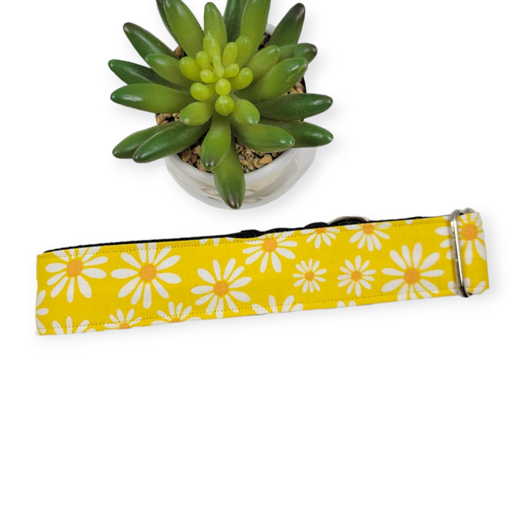 Floral on Yellow Dog Collar (X-Large, 1.5" wide)
