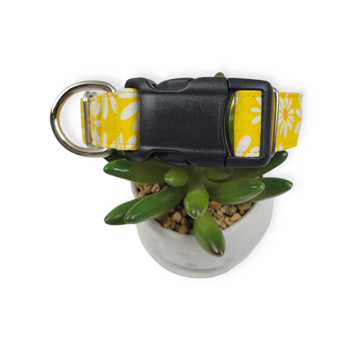 Floral on Yellow Dog collar (Medium, 1" wide)