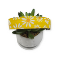 Floral on Yellow Dog Collar (Large)