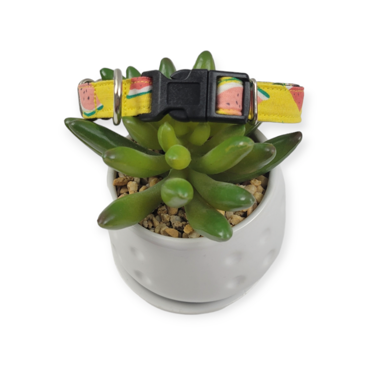 Watermelons on Yellow Dog collar (X-Small)