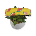 Watermelons on Yellow Dog Collar (Large)
