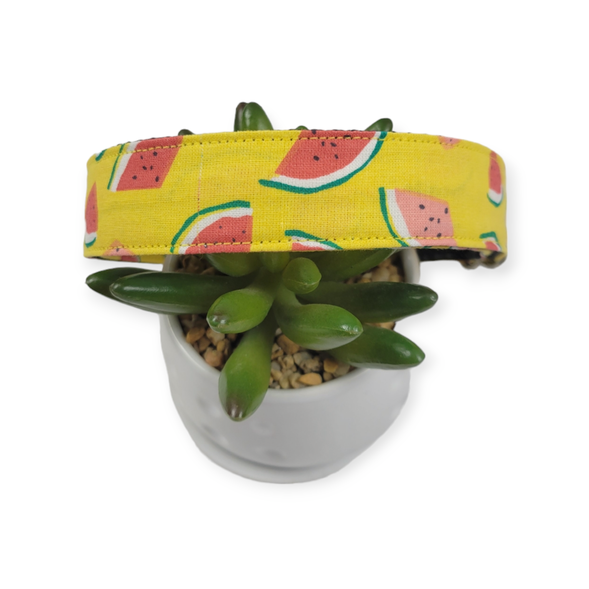 Watermelons on Yellow Dog Collar (Large)