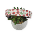 Scarlet Poppy Dog Collar (Large)