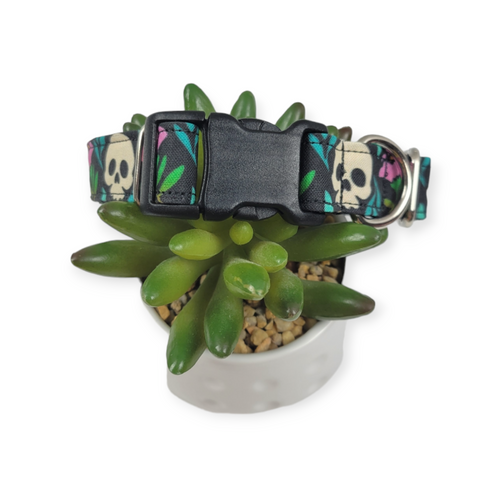 Blooming Skulls Dog collar (Medium)
