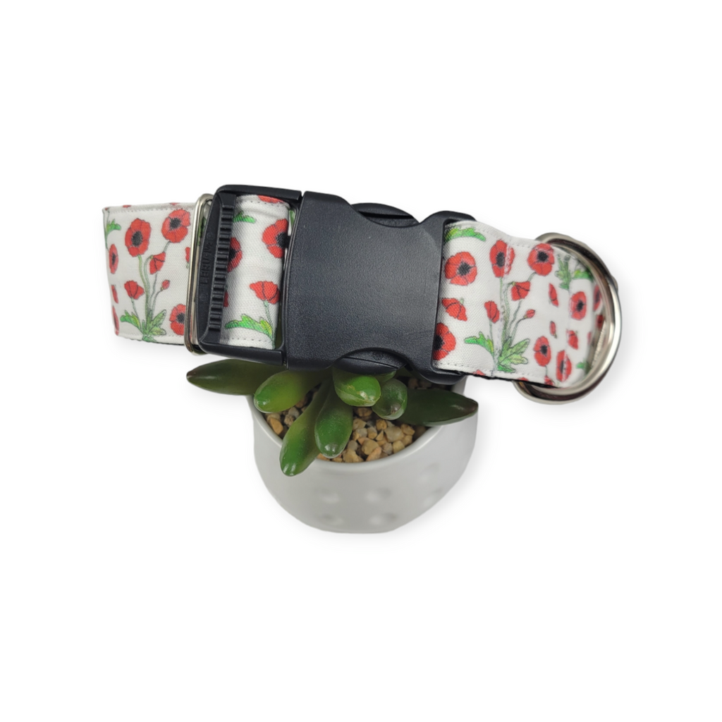 Scarlet Poppy Dog collar (Large, 1.5" wide)