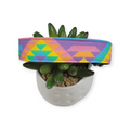 Super Groovy Kilim Dog Collar (Large)