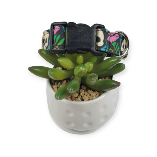 Blooming Skulls Dog collar (Small, 3/4" wide)