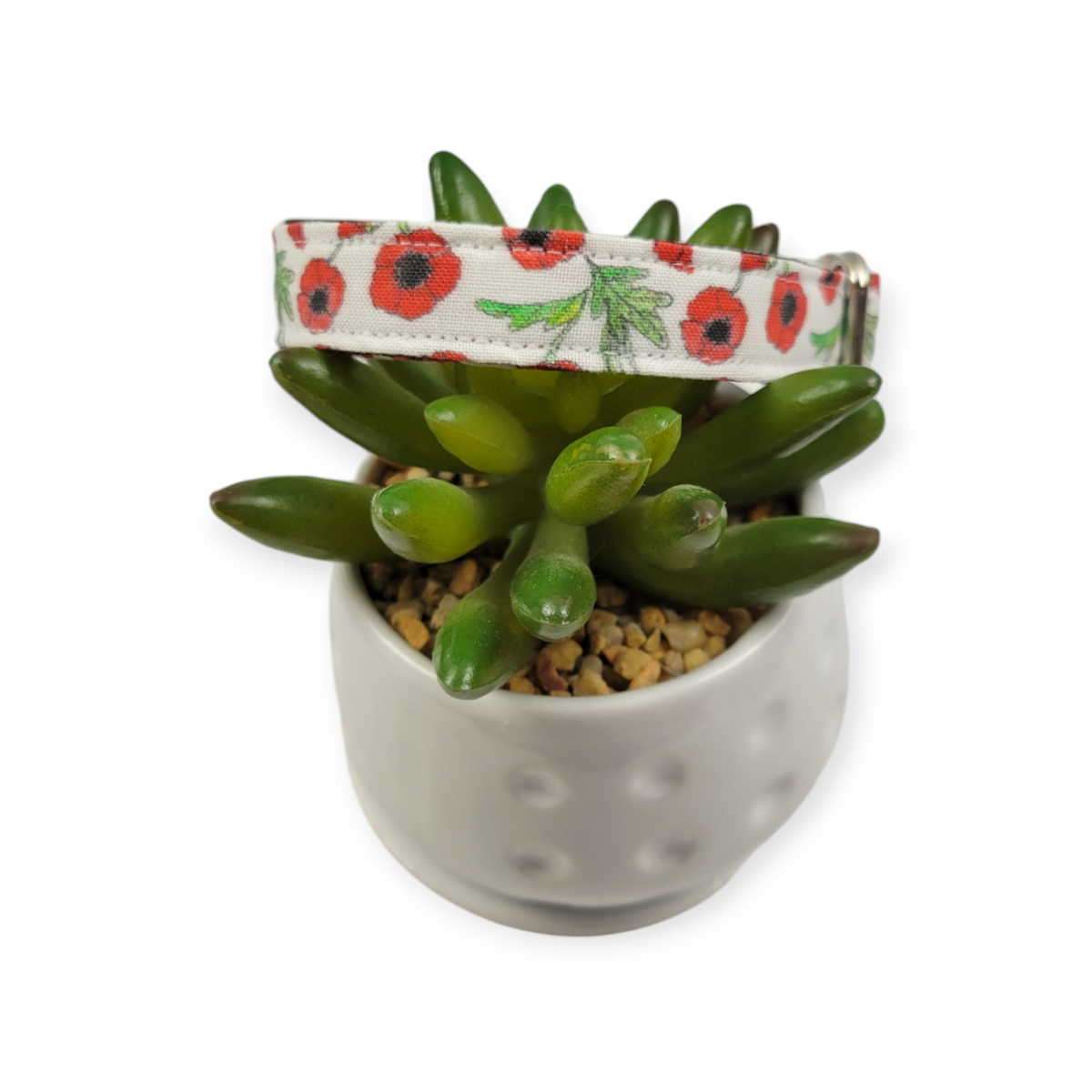 Scarlet Poppy Dog collar (Small)