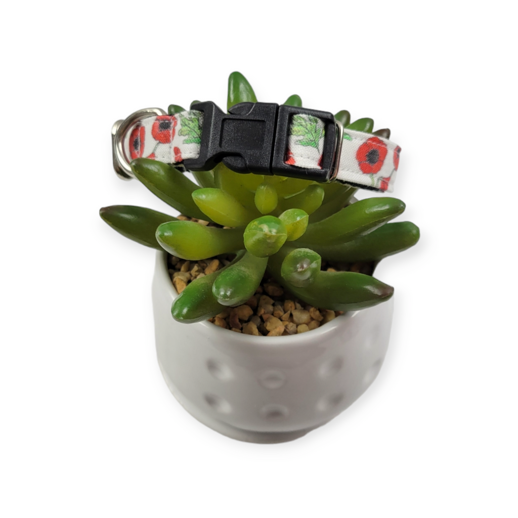 Scarlet Poppy Dog collar (XX-Small)