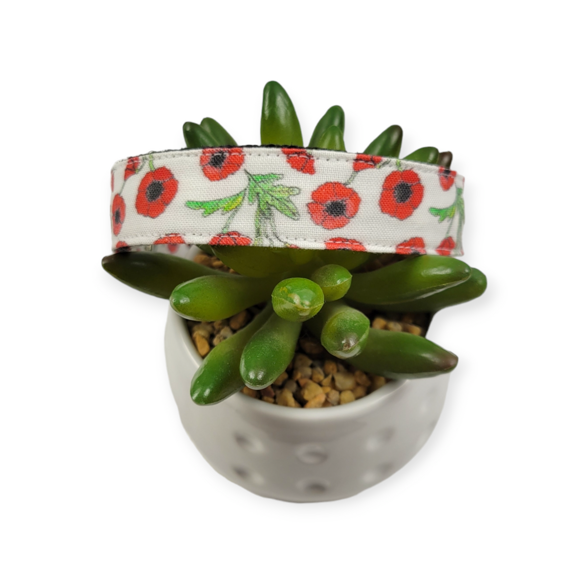 Scarlet Poppy Dog collar (Medium)