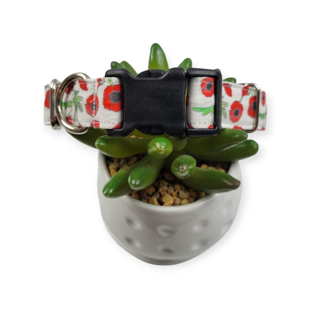 Scarlet Poppy Dog collar (Medium)