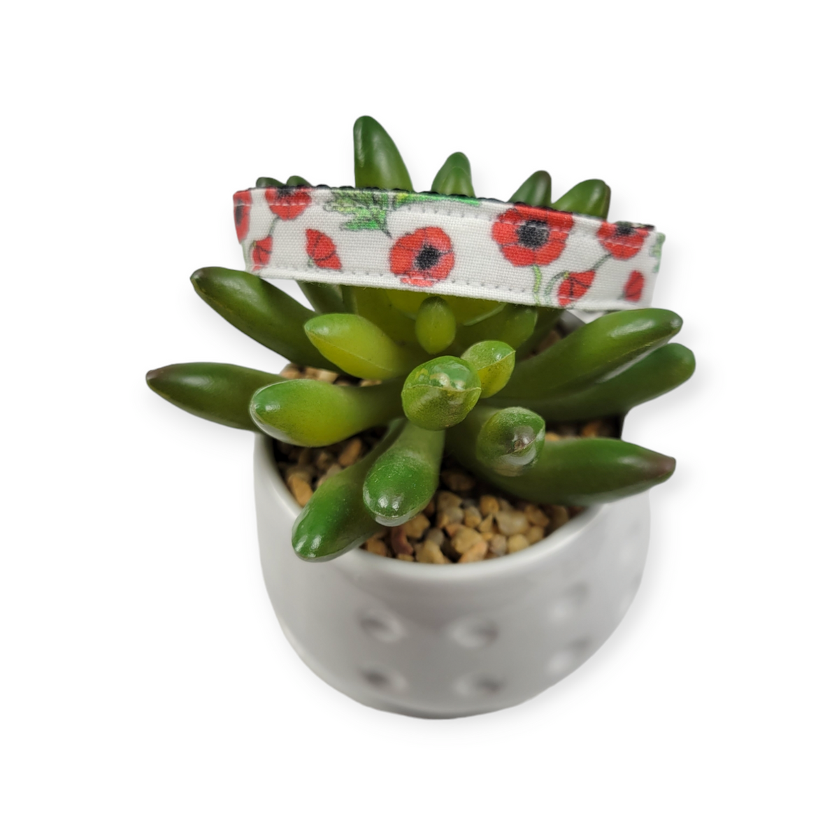 Scarlet Poppy Kitty Collar (XX-Small)