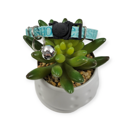 A$$hole on Aqua Kitty Collar (XX-Small)