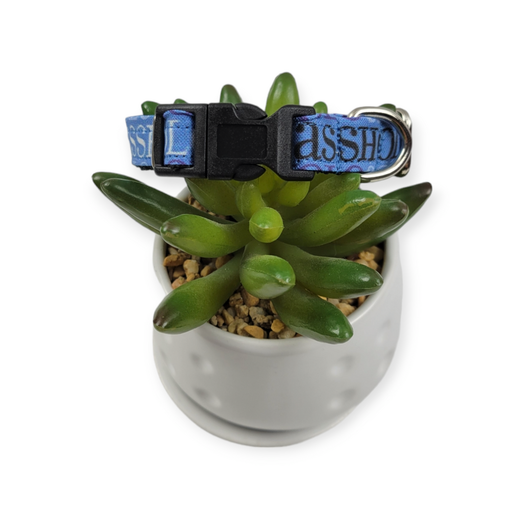 A$$hole on Navy Dog Collar (XX-Small)