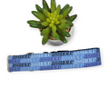 A$$hole on Navy Dog Collar (Large, 1.5" wide)