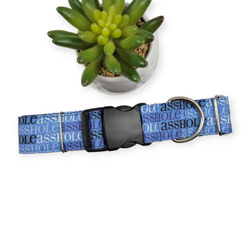 A$$hole on Navy Dog Collar (X-Large, 1.5" wide)