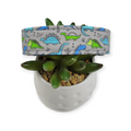 Green & Blue Dinosaurs on Grey Dog collar (Medium, 1" wide)
