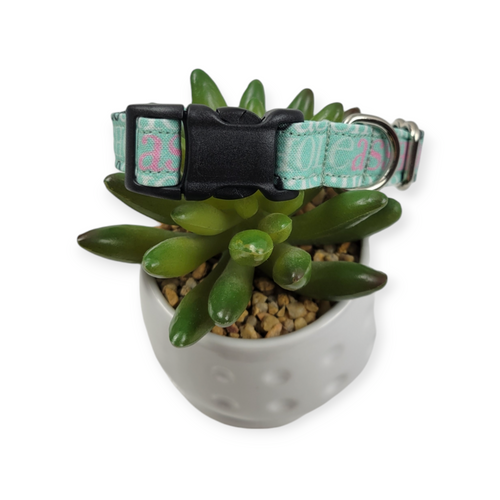 A$$hole on Mint Dog collar (Small)