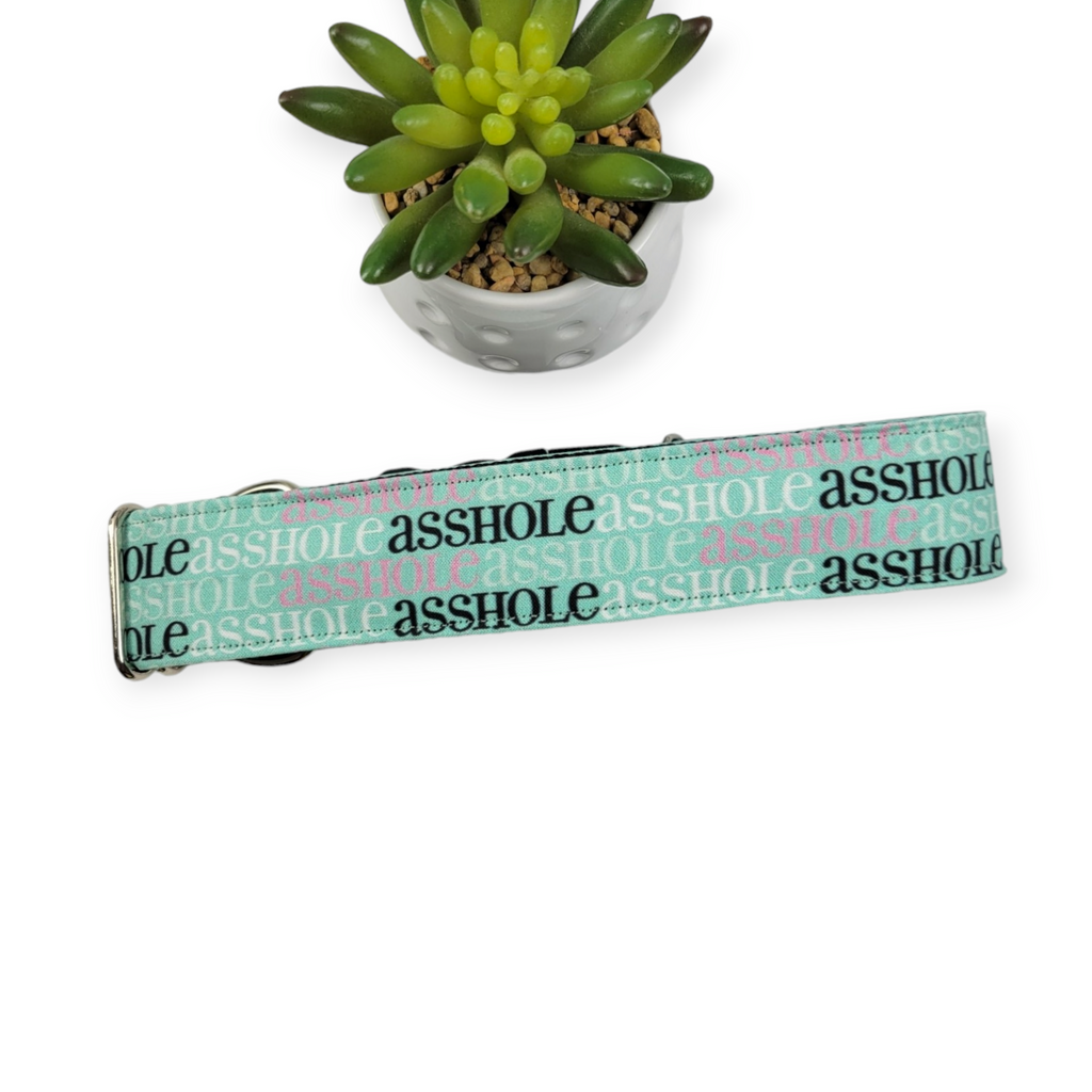 A$$hole on Mint Dog Collar (X-Large, 1.5" wide)