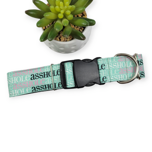A$$hole on Mint Dog Collar (X-Large, 1.5" wide)