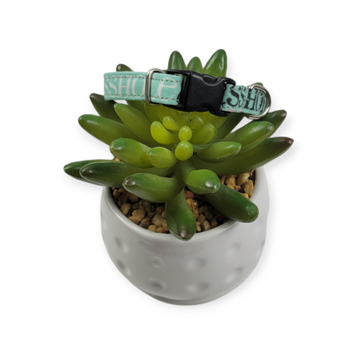 A$$hole on Mint Dog Collar (XX-Small)