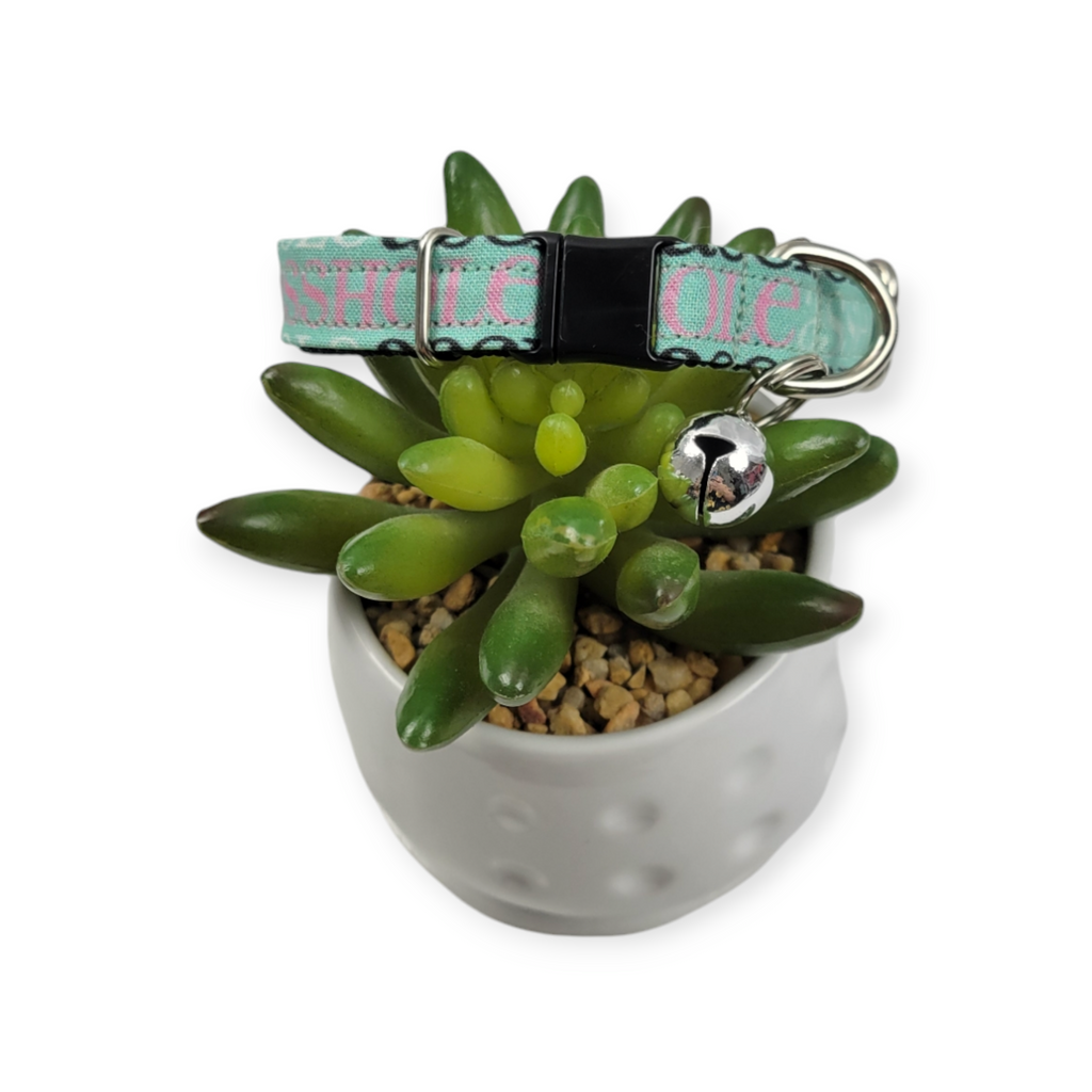A$$hole on Mint Kitty Collar (X-Small)