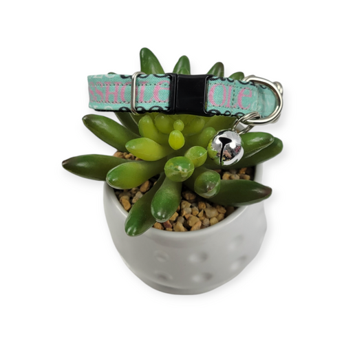A$$hole on Mint Kitty Collar (X-Small)
