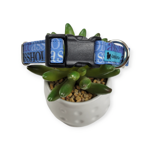 A$$hole on Navy Dog Collar (Medium)
