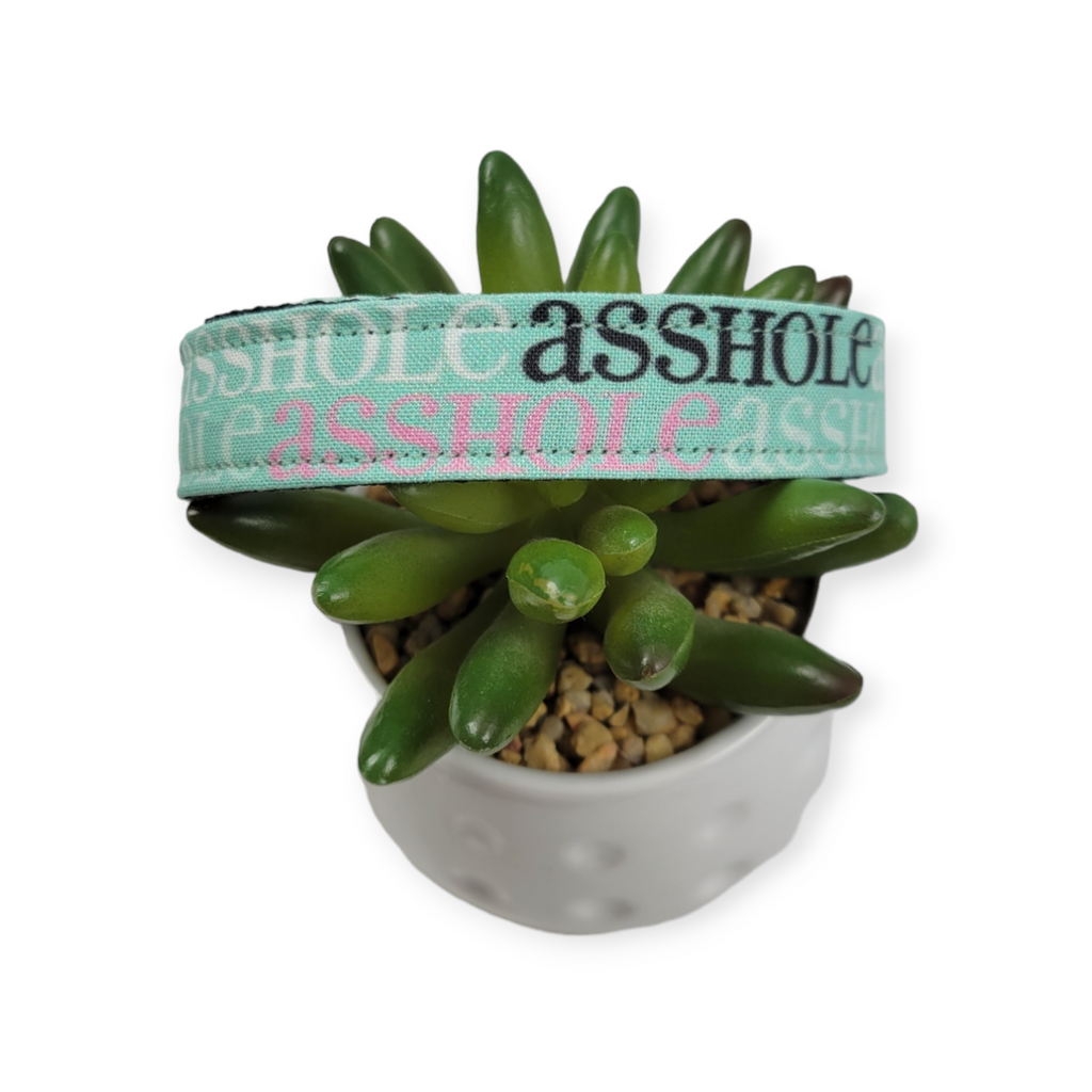 A$$hole on Mint Dog Collar (Medium)
