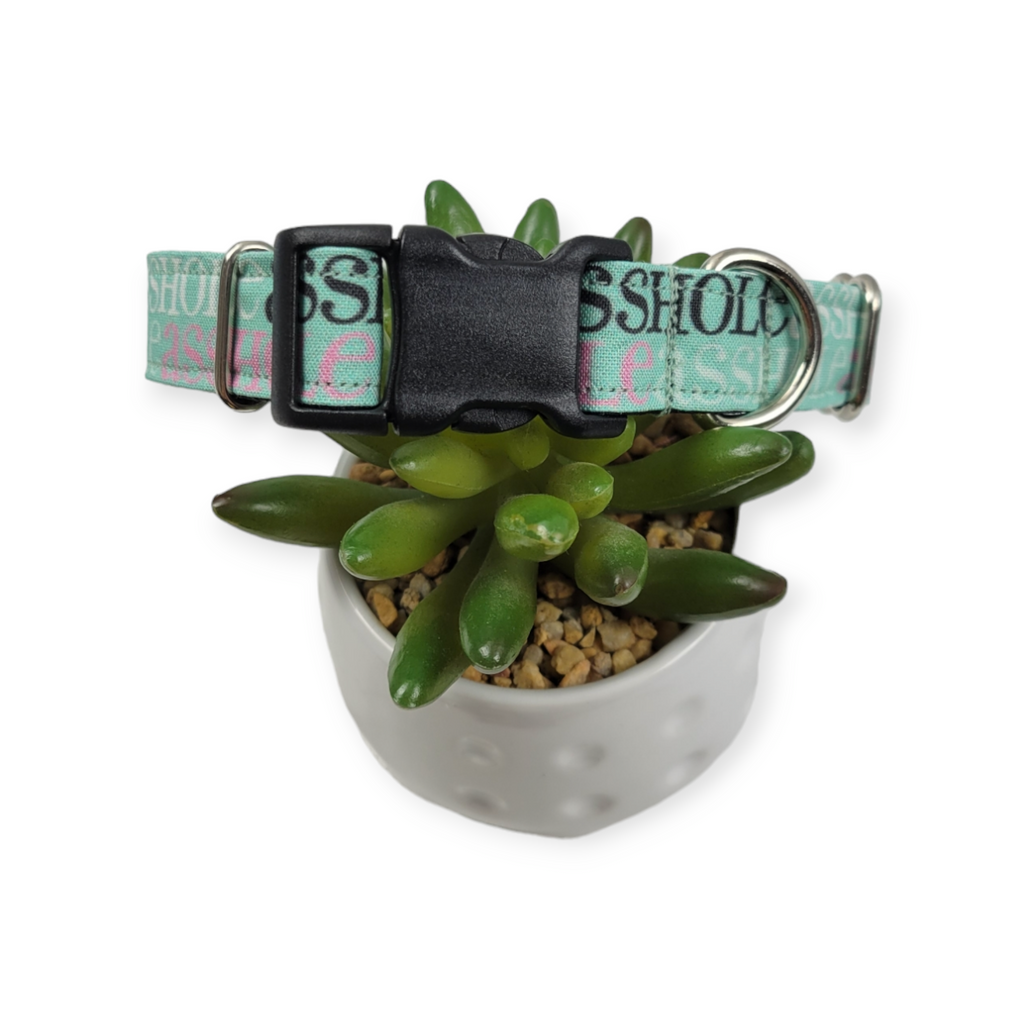 A$$hole on Mint Dog Collar (Medium)