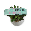 A$$hole on Mint Dog collar (Large)