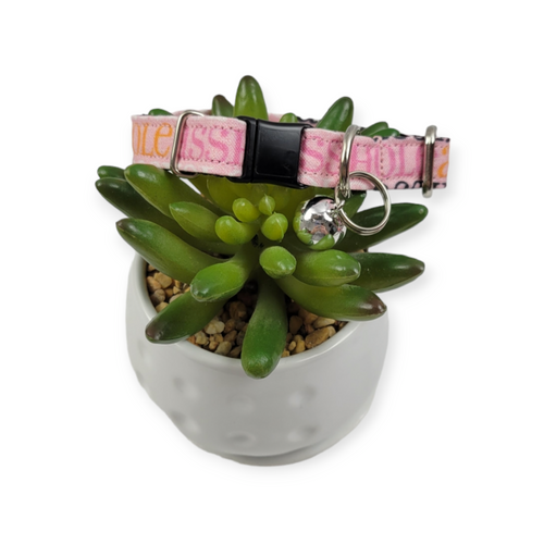 A$$hole on Sherbet Kitty Collar (X-Small)