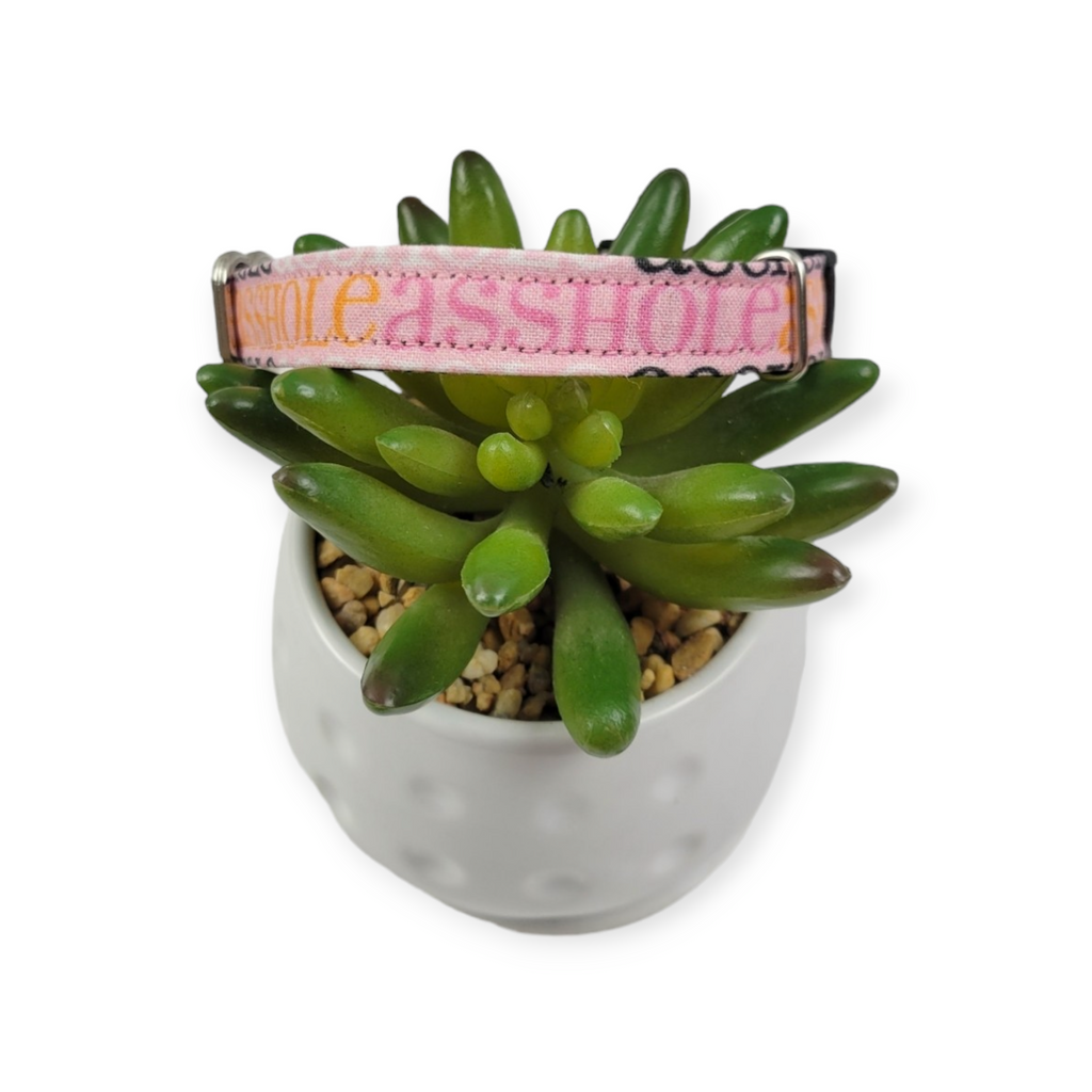 A$$hole on Sherbet dog collar (X-Small)