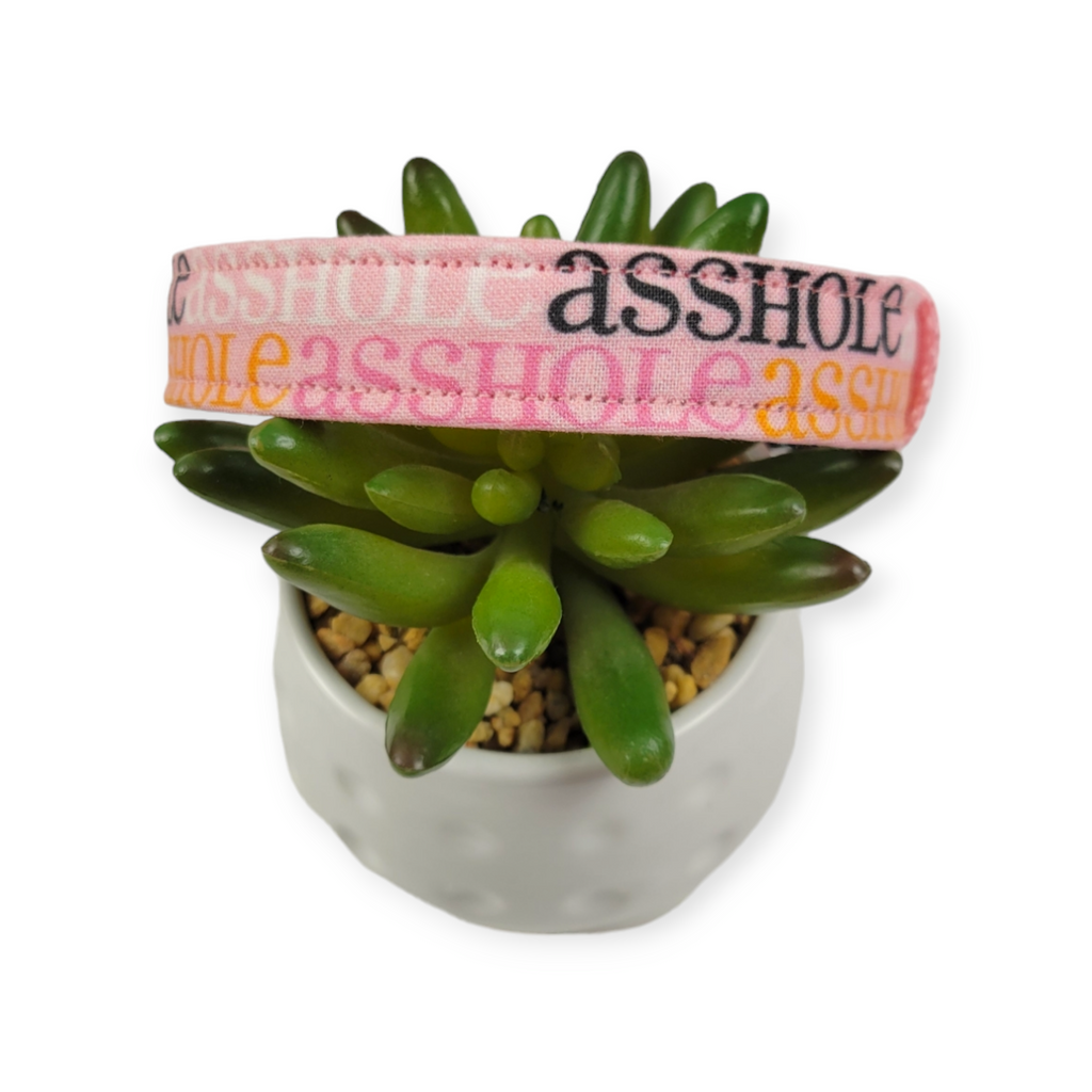 A$$hole on Sherbet Dog Collar (Medium)